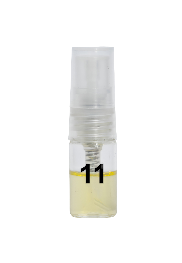 Centamerica No.11 Inspired By Megamare Orto Parisi